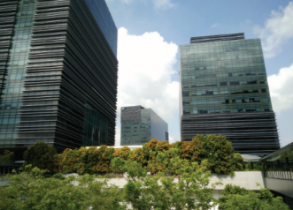 Singapore Industrial Briefing Q2 2020