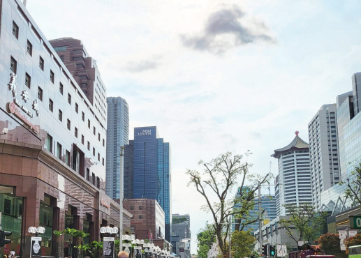 Singapore Retail Briefing Q2 2022