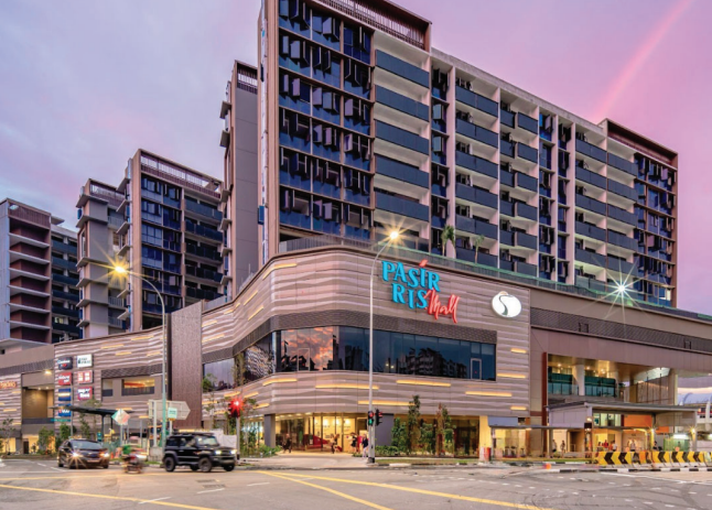 Singapore Retail Briefing Q2 2024
