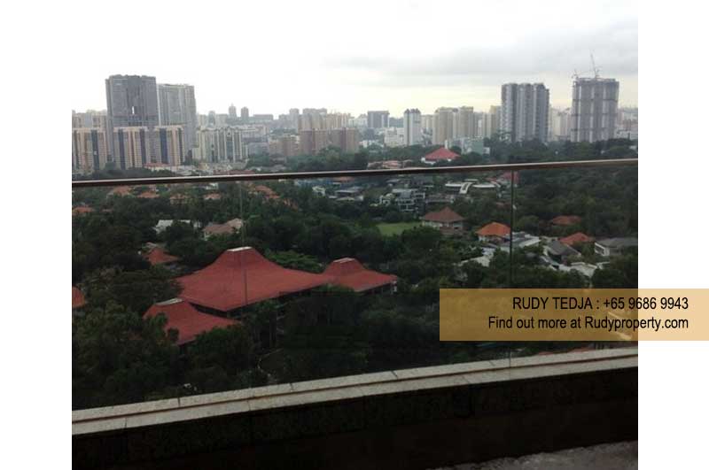 Parkview Eclat Penthouse (10,096 sqft) - Condominium for Sale